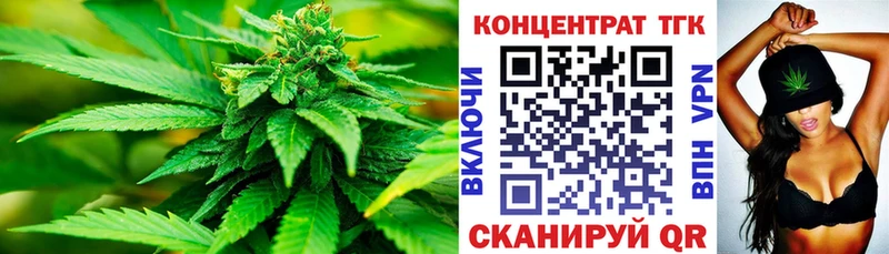 где можно купить   Губкинский  ТГК концентрат 