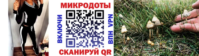 Галлюциногенные грибы прущие грибы  наркошоп  Губкинский 